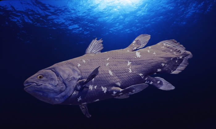 �������Դ��˾�ƻ����ϷǺ��򿪲�ʯ�� ��вǻ������Ϣ��