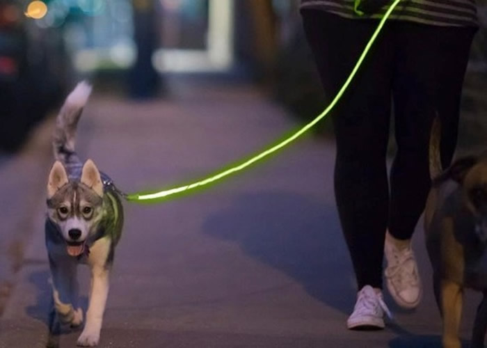 ÿ˹ȫ͸ҲȫΨһLEDƵĹ