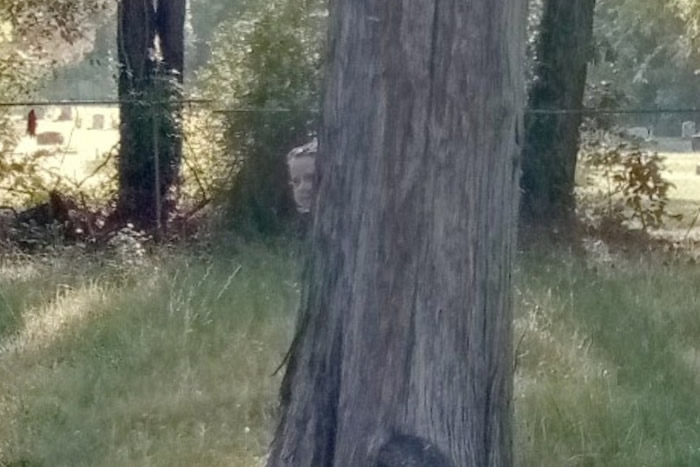 灵异照片曝光:美国德州玛莎教堂墓园Google街景大树后发现灰色脸女孩身影