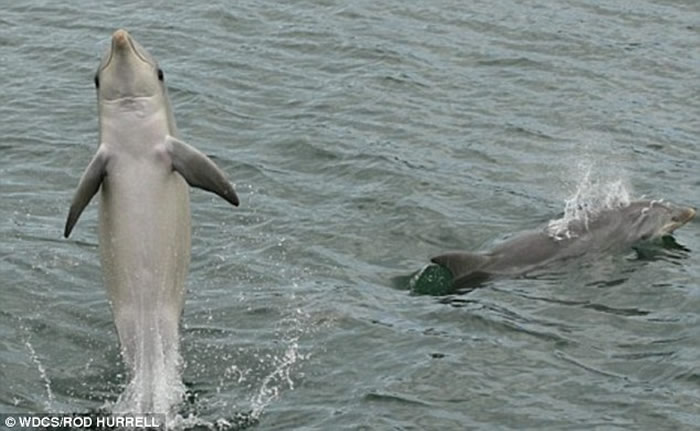 ĴһֻҰѧβߺ󻹽̻ͬ