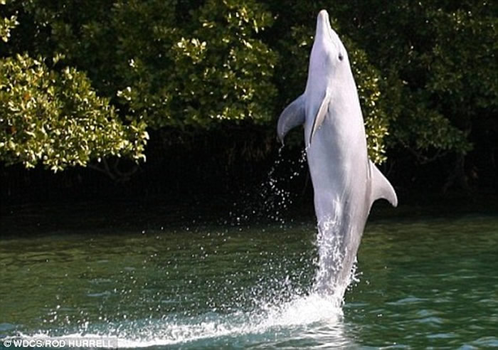 ĴһֻҰѧβߺ󻹽̻ͬ