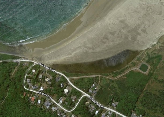 ��ï��С��λ���������ϵ��ϲ����غ���������ɫ���ˡ�