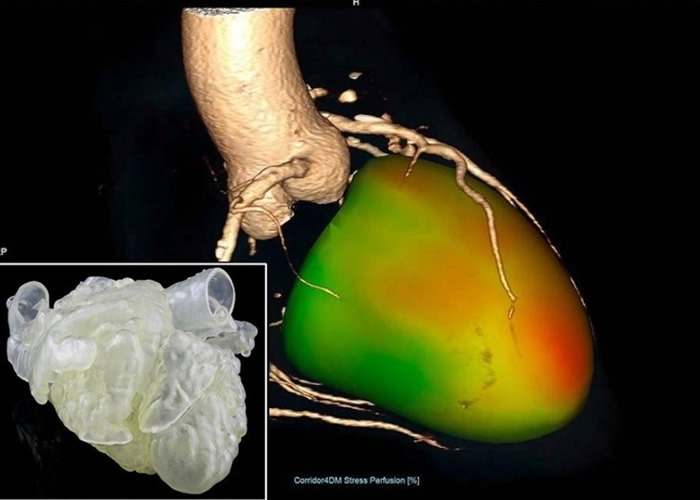 ģAIҽ׼ȷƷʽķռЧ