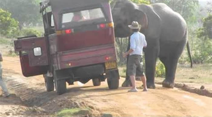 ˹������Ұ�������Ա����װ�����䱸ͻ����ǹ �����������ܵ������ֺ�