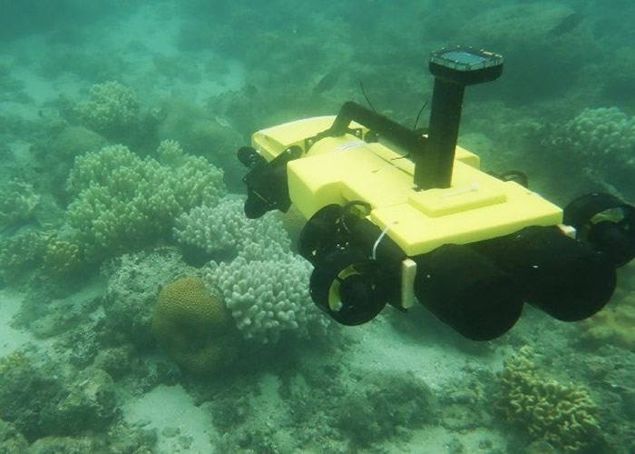 巡逻机器人可用于侦测及捕猎棘冠海星。