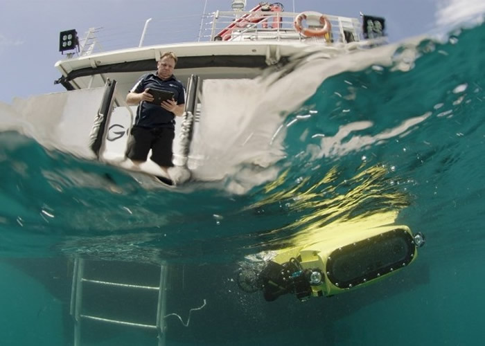 邓巴宾研发出一个专为珊瑚礁环境设计的巡逻机器人。