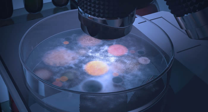 澳大利亚国立大学专家发现超级细菌 对所有已知抗生素均有耐药性