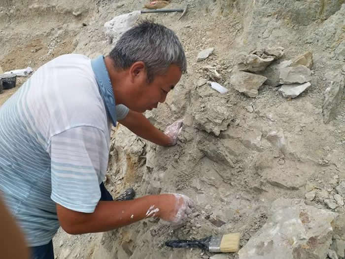 ųϺԳַ2ʯ㷢Ϭţ㡢Լ໯ʯ1000