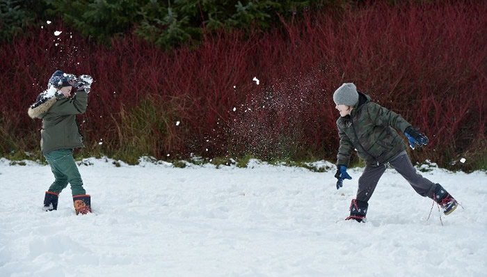 С����������Ϸ��ѧ���������ɡ�