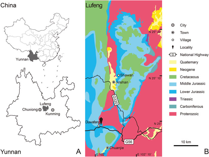 孙氏彝州龙的化石地点。(张茜楠供图)