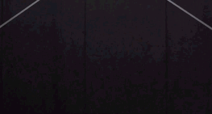 灵巧扑翼飞行机器人可模仿昆虫的特技飞行表演