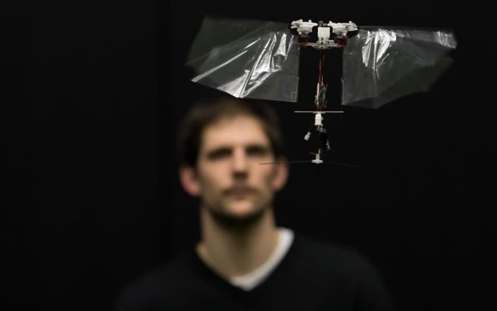 灵巧扑翼飞行机器人可模仿昆虫的特技飞行表演