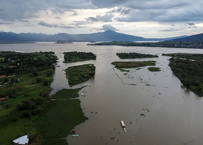 �ۿ���ԭ��Ϣ����Ⱦ���ء�