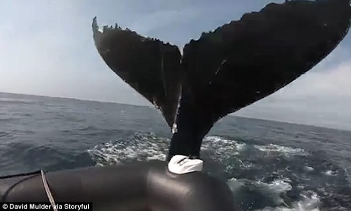 ���ô���������ͷ����ˮ�о����β���Ĵ�۾���Ƥͧ