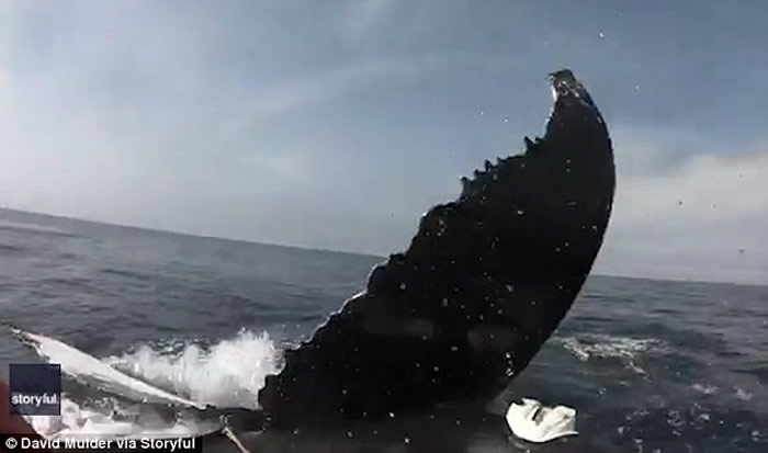 ���ô���������ͷ����ˮ�о����β���Ĵ�۾���Ƥͧ