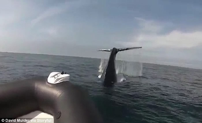 ���ô���������ͷ����ˮ�о����β���Ĵ�۾���Ƥͧ