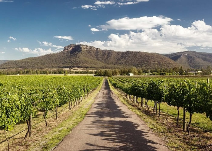 ���ں��ҵ����ԣ��ɺ������л�����ͼ�������