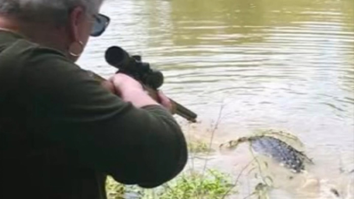 美国德克萨斯州曾祖母因长期怨恨一枪打死3.6米长巨型鳄鱼