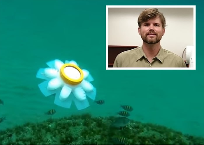 恩贝格(小图)参考水母的形态,研发了外型可爱的“机器水母”。