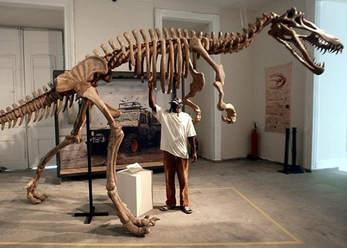 恐龙化石或已遭破坏。