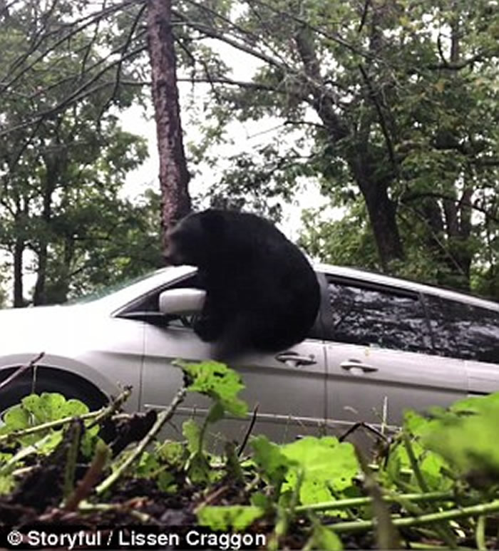 ��������������������ȡ��ʱ���������ھ�Ȼ����ֻ���� �ƴ������Ż���