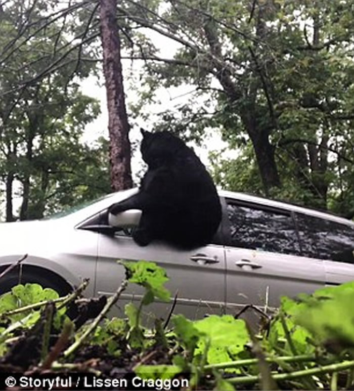 ��������������������ȡ��ʱ���������ھ�Ȼ����ֻ���� �ƴ������Ż���