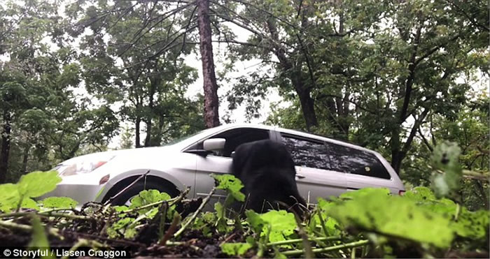 ��������������������ȡ��ʱ���������ھ�Ȼ����ֻ���� �ƴ������Ż���