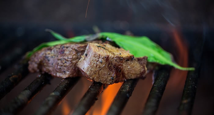 ��������������֢�໤ҽѧ��־�����տ���������˺�����������