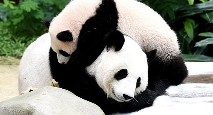 ����èͨ������һ���Ľ������ֻ�� ֻ����20����