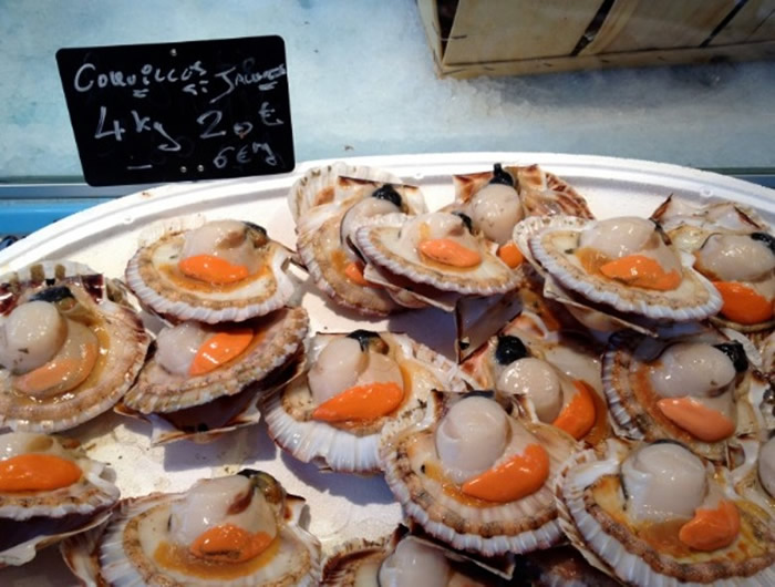 ŵ���ڵĴ���ʮ��������