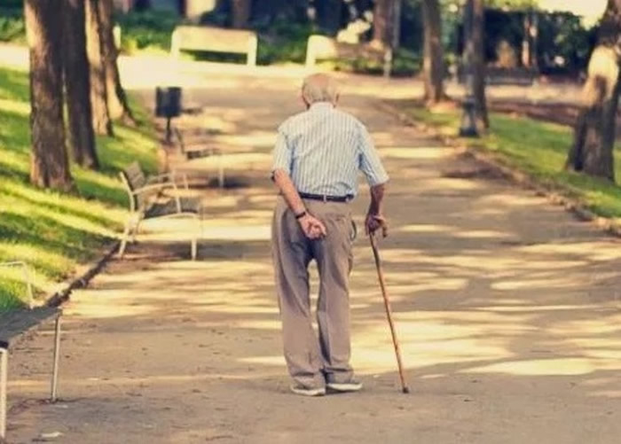 ����±���ѧ�����о�����ÿ��ƽ��ɢ��35���������������������з����һ��