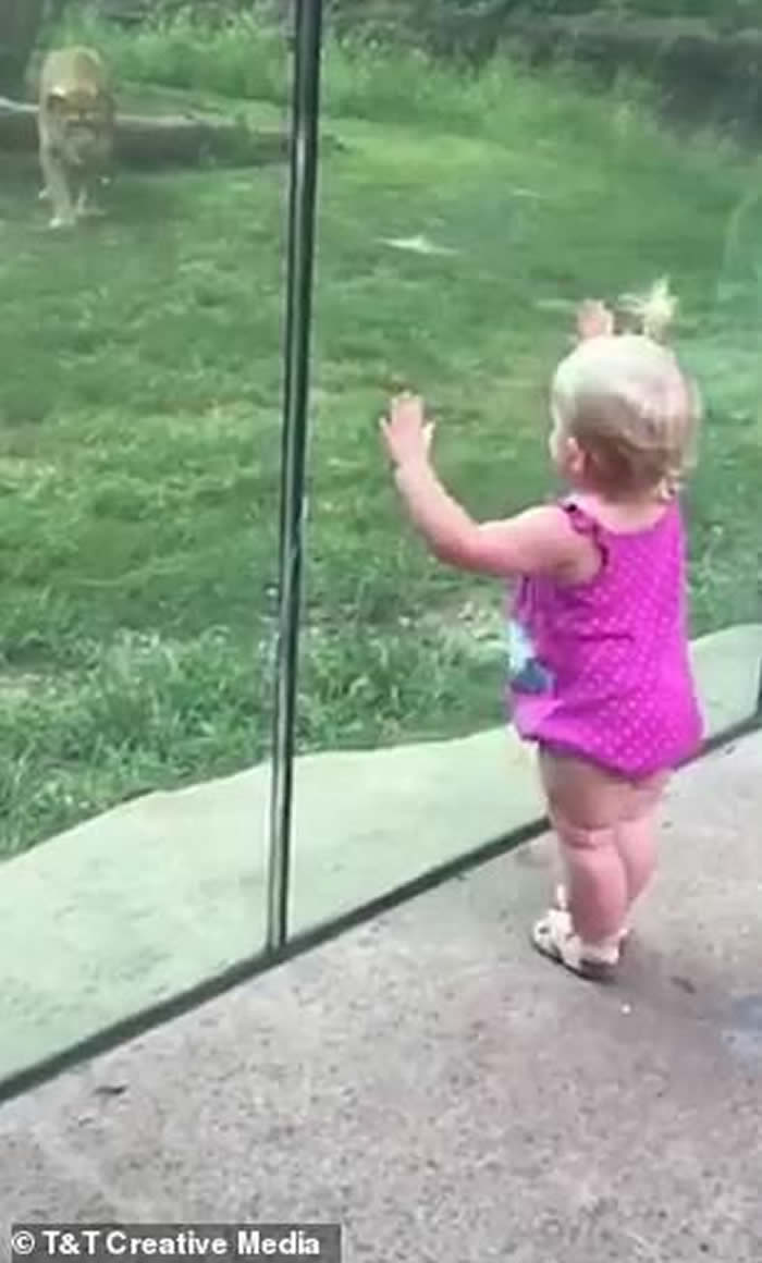 ŵƤǶ԰ʨӸŲ ŻСŮ