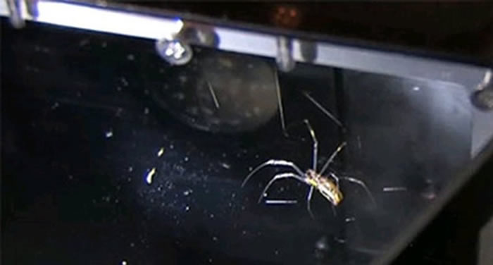 ���ʿռ�վӭ������Ȼ�����ļ������г�Ա��ֲ�ϸ��������Ͷ���