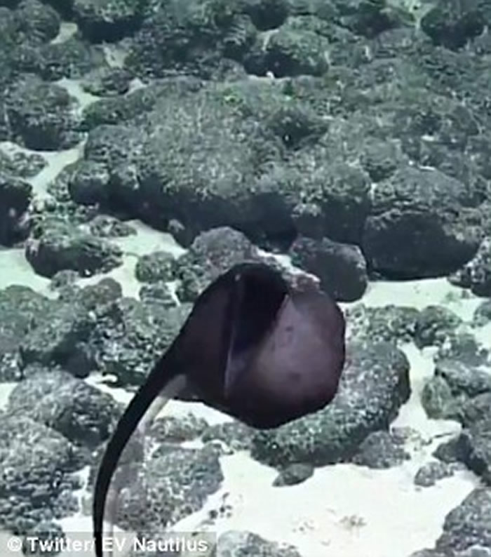 �����о��Ŷ�The Nautilus Team���㵽����������Ƶ�����Һ��㣨�����㣩