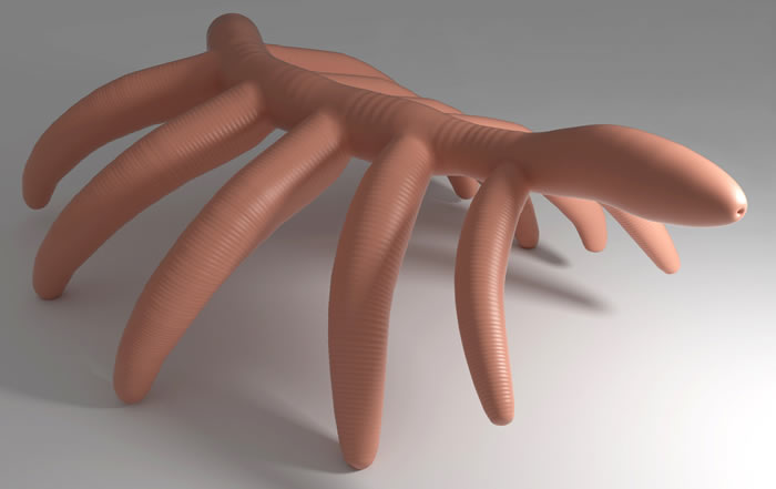 寒武纪叶足动物一个新物种——具有柔软附肢的蠕虫状动物Lenisambulatrix humboldti