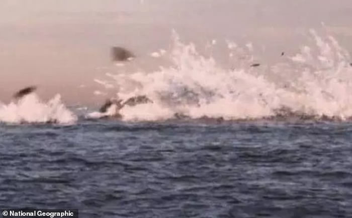 “国家地理”频道“海底大搜索”纪录片展示MH370航班波音-777客机最后时刻的“死亡螺旋”