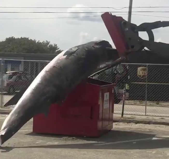 �����º���ʲ���ݸ�ǳС�뾨̫�� ʬ��Ų�����������ڵ���