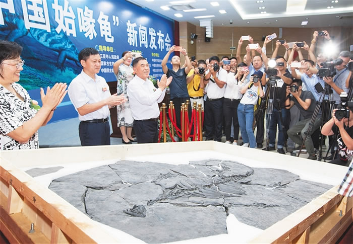 中国始喙龟化石被三亚海洋古生物博物馆作为“镇馆之宝”收藏