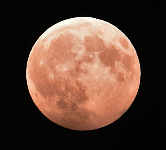 �ж��̶�����̽����������