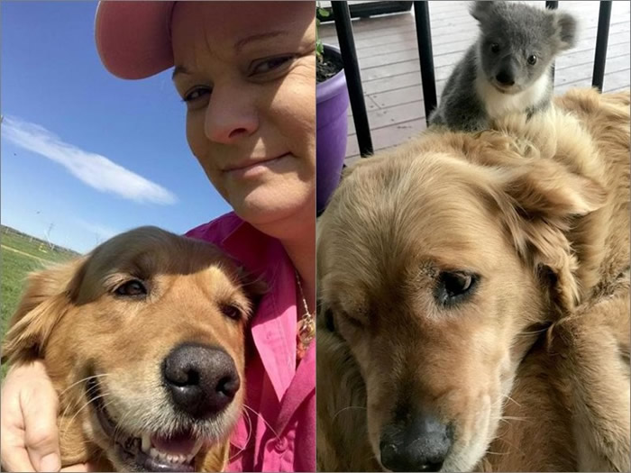 �������ũ̫̫Ϊ������ɯ�е����٣���ͼ����С���ܰѰ�ɯ���������裨��ͼ����