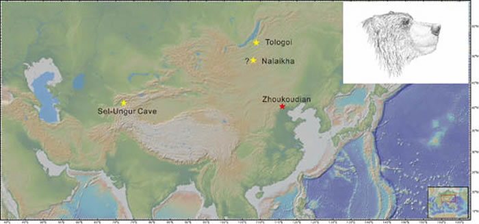 亚洲东部洞熊化石记录点(江左其杲供图)