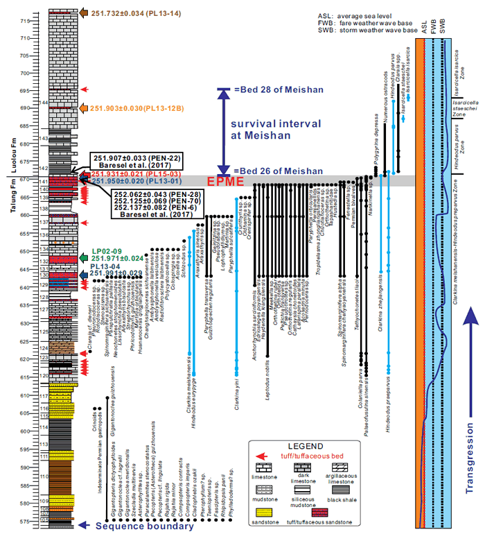 蓬莱滩剖面二叠纪末大灭绝事件附近的化石记录