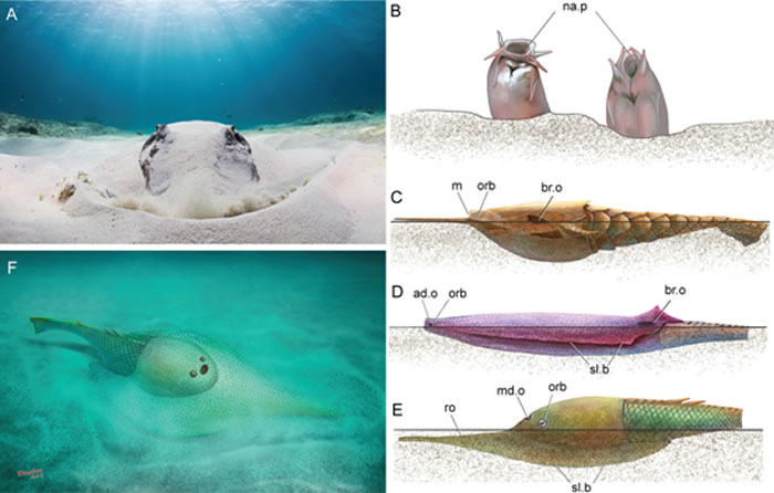 ����Ӫ��������ʽ����Ӧ������A.Eugene Kitsios �ṩ�� B��F��� �棩