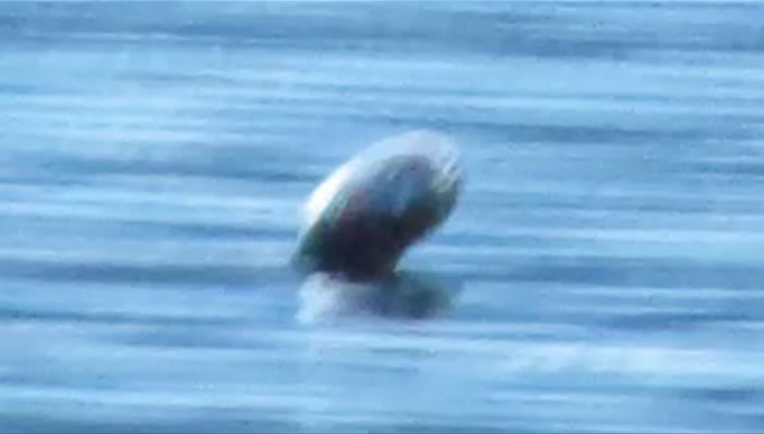 ���ô�ʫʡ�¿�ŵ�������֡��¸겨�ꡱ3����3������