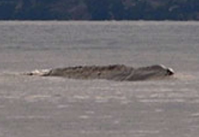 ���ô�ʫʡ�¿�ŵ�������֡��¸겨�ꡱ3����3������