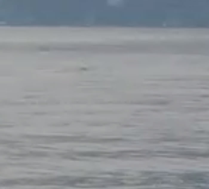 ���ô�ʫʡ�¿�ŵ�������֡��¸겨�ꡱ3����3������