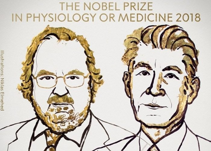 诺贝尔医学奖出炉。