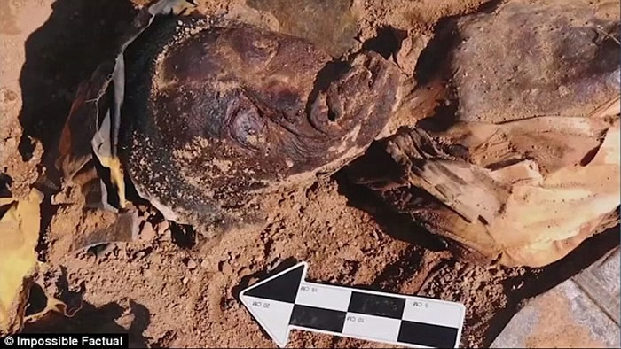 ����ŦԼ�ʺ��������ڳ�19��������Ůʬ �������컨