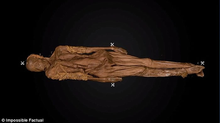 ����ŦԼ�ʺ��������ڳ�19��������Ůʬ �������컨