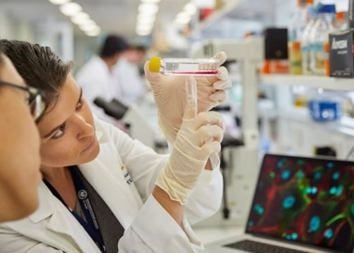 澳洲有望成为首个消灭子宫颈癌的国家。